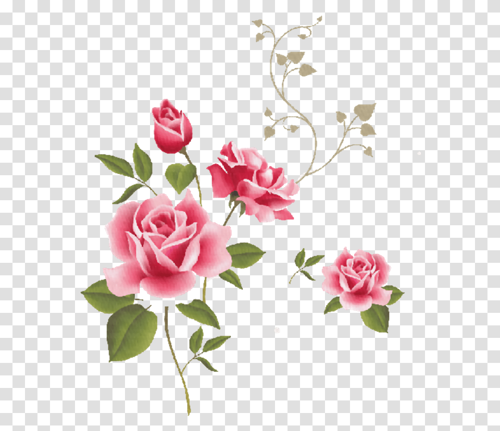 Clip Art Flowers, Plant, Blossom, Rose, Floral Design Transparent Png