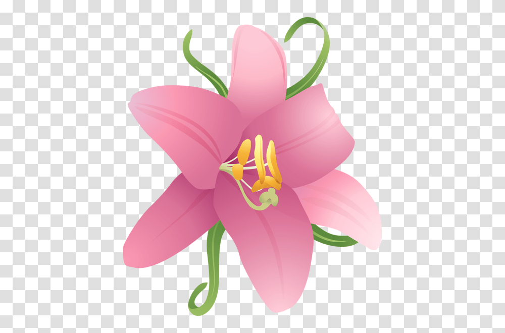 Clip Art Flowers Three, Plant, Lily, Blossom Transparent Png