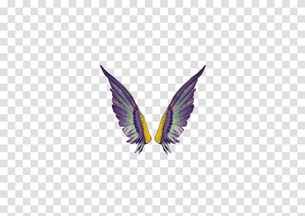 Clip Art, Flying, Bird, Animal, Bluebird Transparent Png