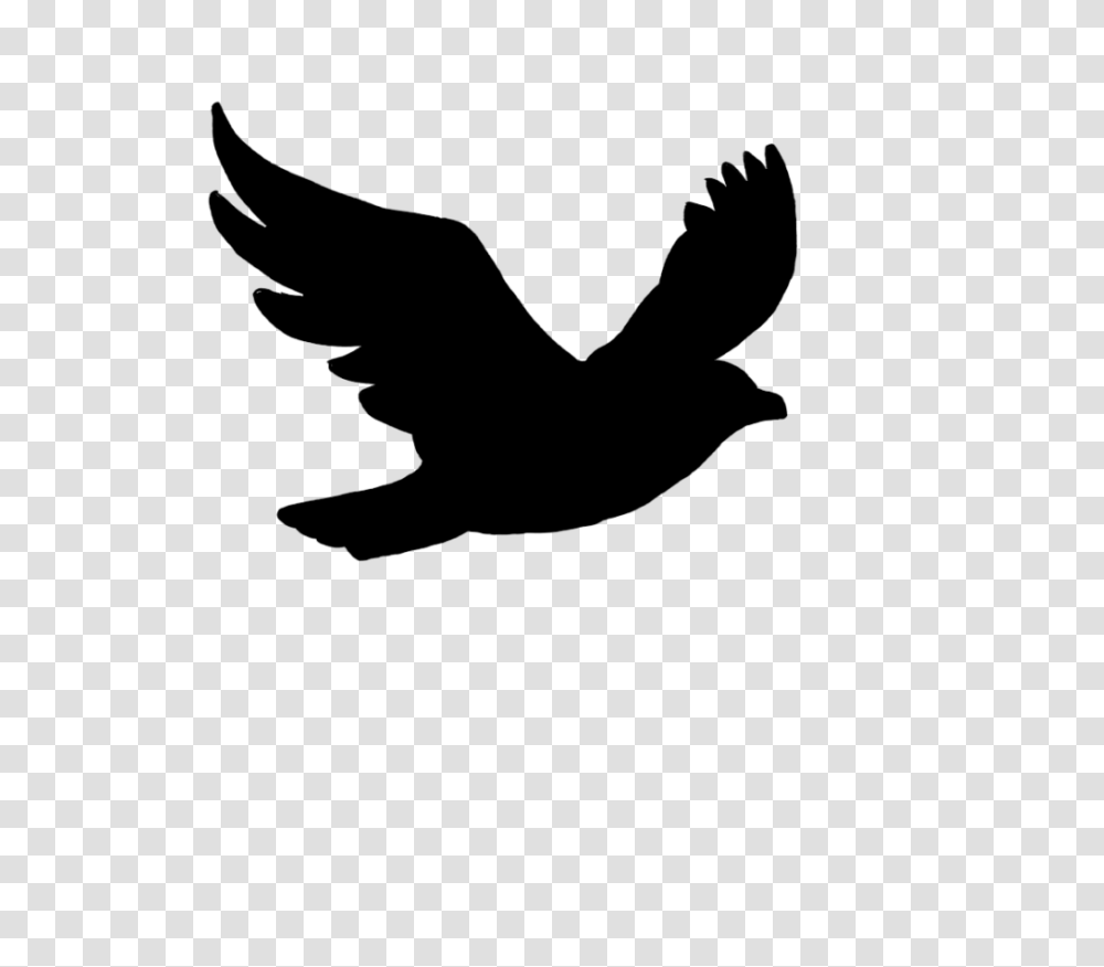 Clip Art Flying Bird Silhouette, Gray, World Of Warcraft Transparent Png