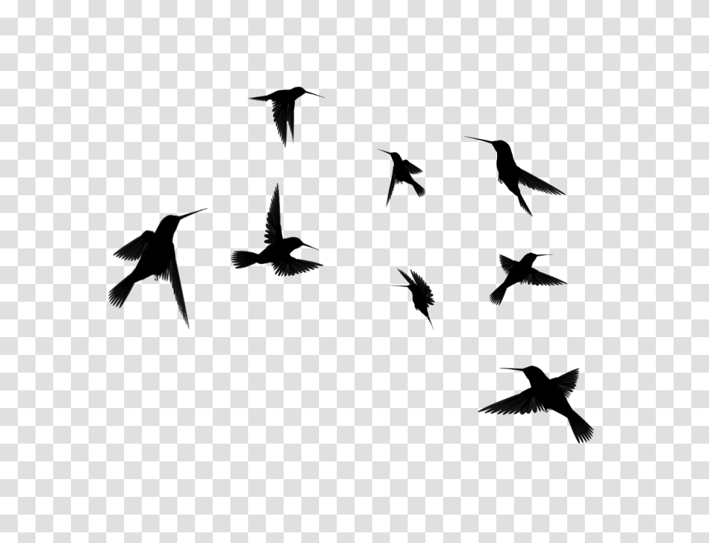 Clip Art Flying Bird Silhouette Winging, Gray, World Of Warcraft Transparent Png
