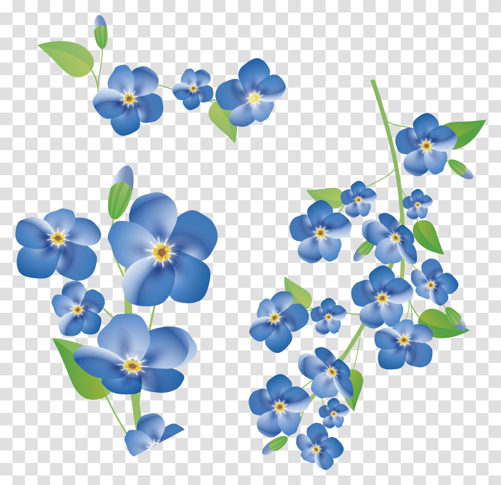 Clip Art Forget Me Not Background Free Forget Me Not Clipart Transparent Png