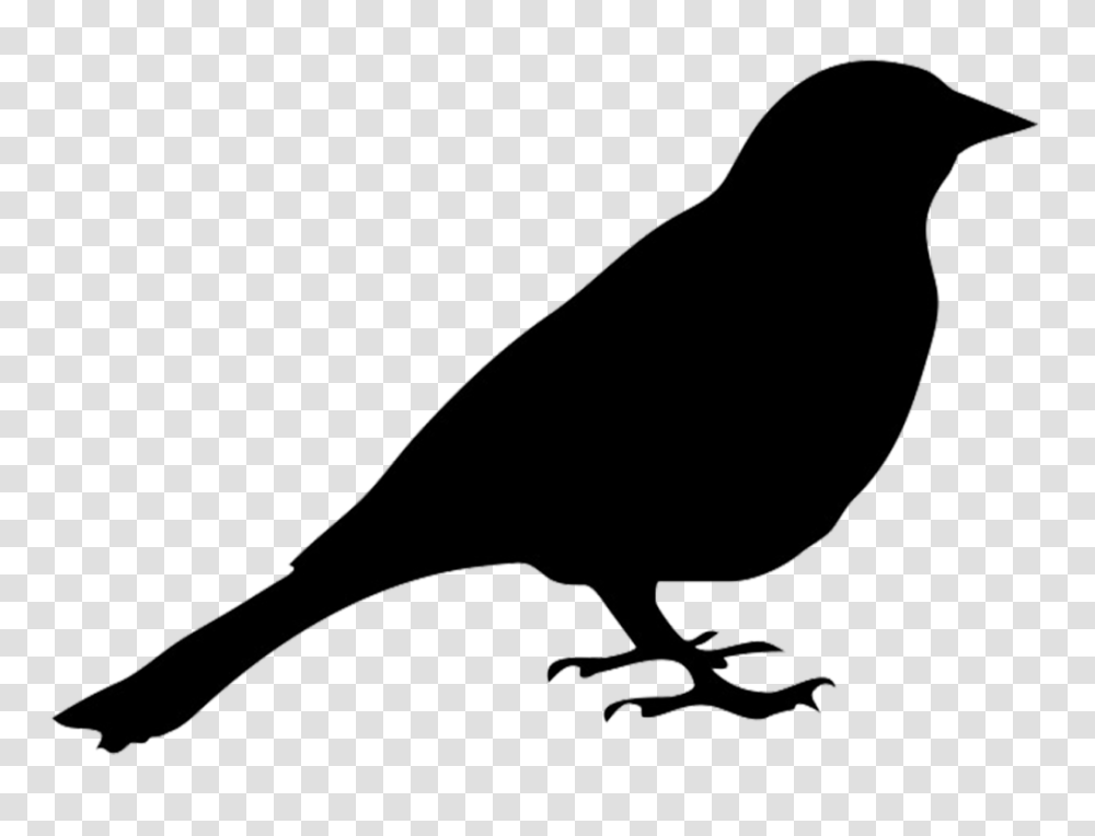 Clip Art Free Bird Silhouette Winging, Animal, Bow, Crow, Finch Transparent Png