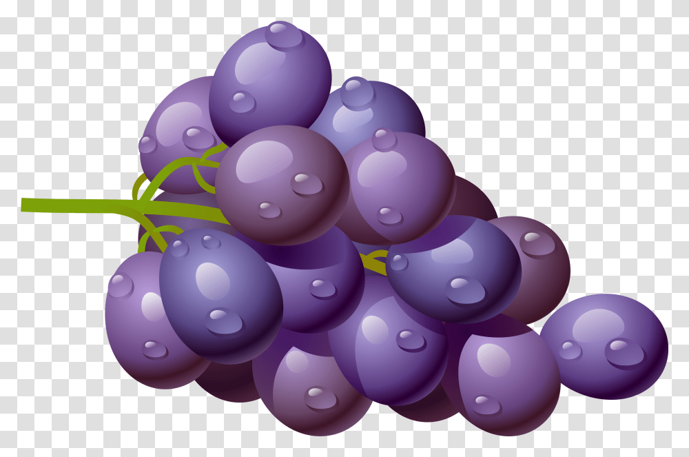 Clip Art Free Clipart Of Fruits Apple Grape Clipart, Plant, Grapes, Food, Blueberry Transparent Png