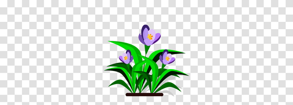 Clip Art Free Clipart, Plant, Flower, Iris Transparent Png