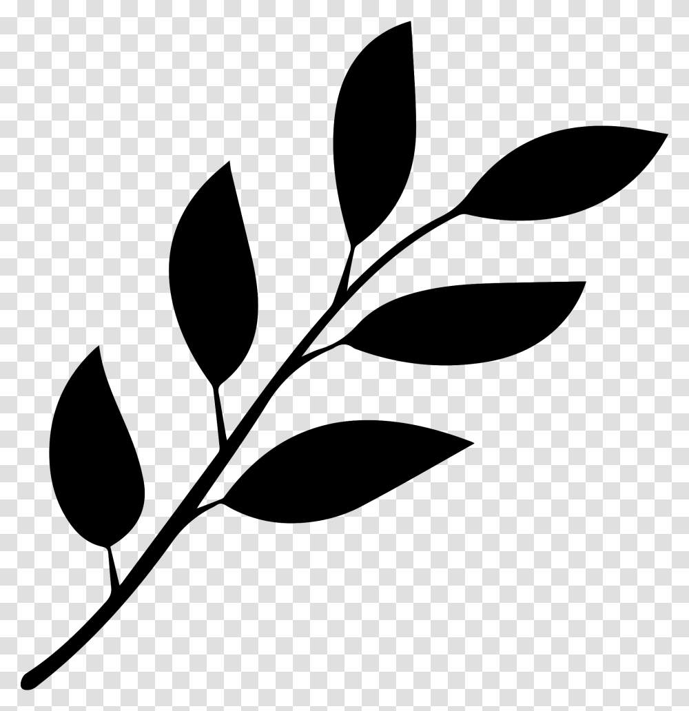 Clip Art Free Download On Melbournechapter Black And White Leaf, Gray, World Of Warcraft Transparent Png