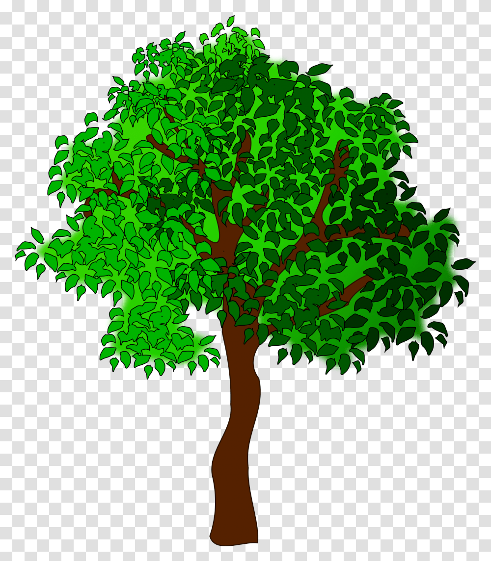 Clip Art Free Images Of Trees Clipart Trees, Plant, Green, Vegetation, Leaf Transparent Png