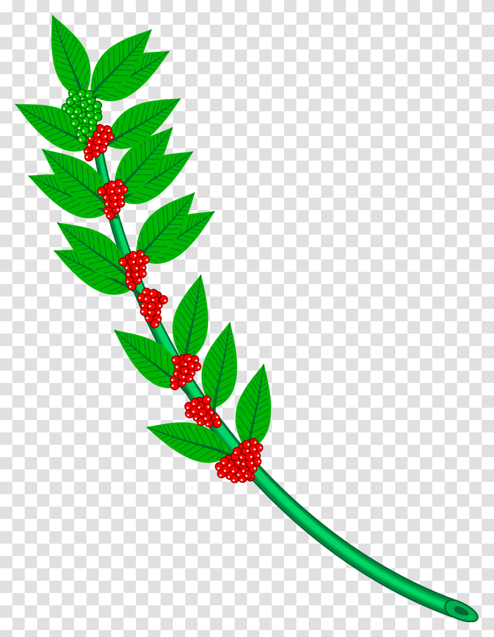 Clip Art Free Library Branch Svg Holly Coffee Branch, Plant, Flower, Blossom, Pattern Transparent Png