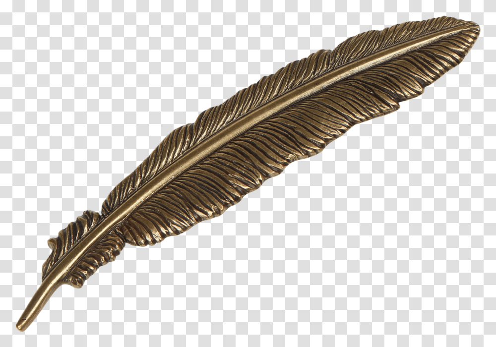 Clip Art Free Photo Nature Natural Feather In A Hat, Bird, Animal, Pen, Bottle Transparent Png
