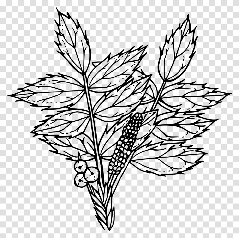 Clip Art Free Stock Outline Of A Flower Drawing Oregon Grape, Gray, World Of Warcraft Transparent Png