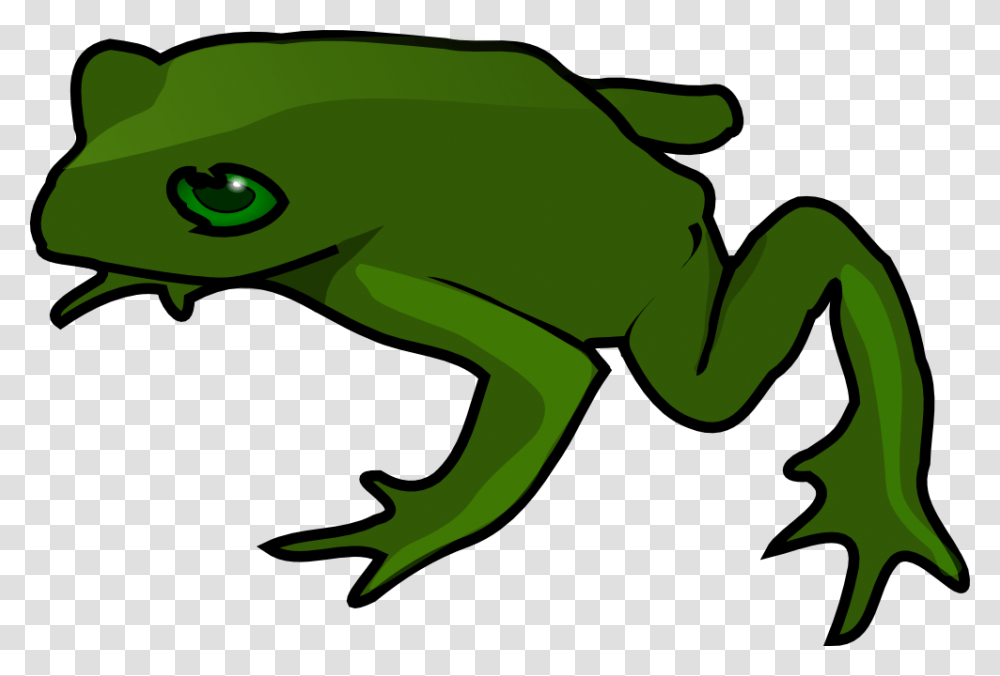 Clip Art Frog, Animal, Amphibian, Wildlife, Tree Frog Transparent Png