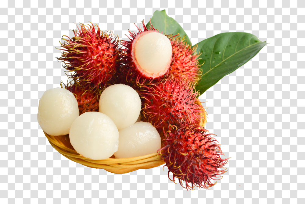 Clip Art Fruit Lychee Red Fresh Transparent Png