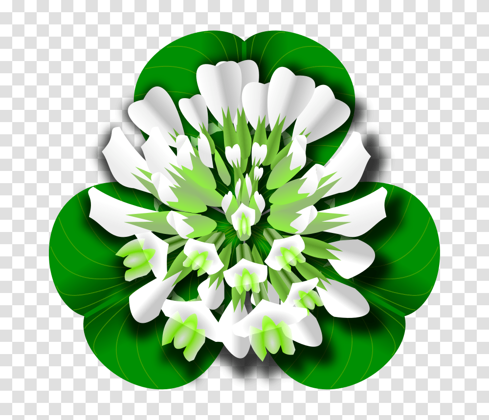Clip Art Gallery, Green, Plant, Flower, Blossom Transparent Png