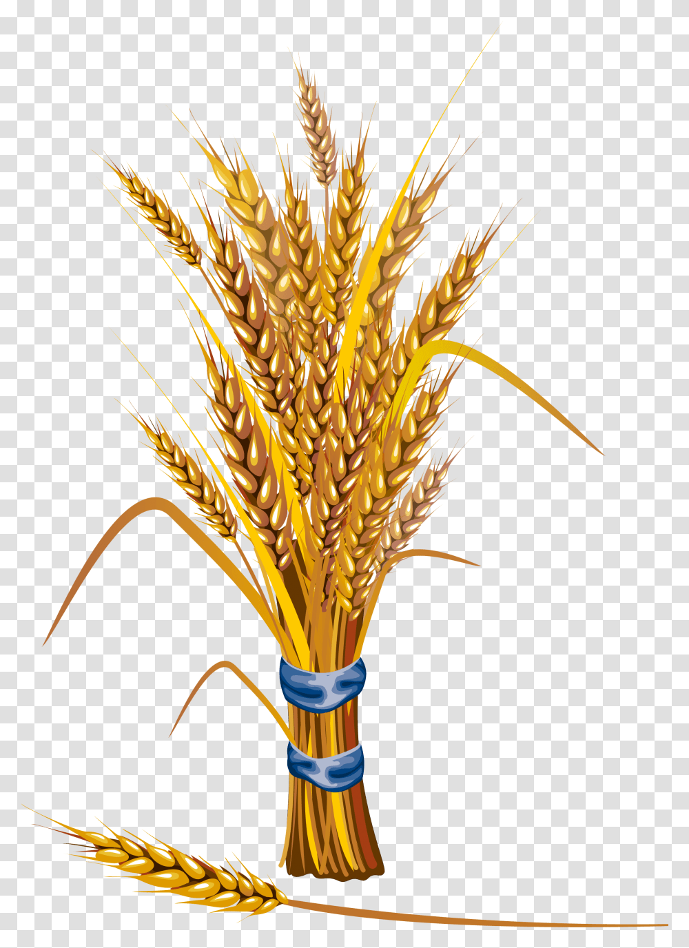 Clip Art Grain, Plant, Vegetable, Food, Wheat Transparent Png