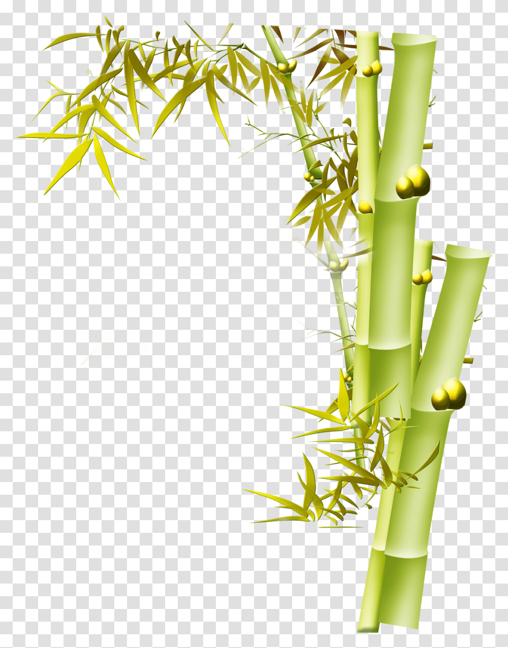 Clip Art Graphic Design Bird And Bamboo Yellow Flower Background, Plant Transparent Png