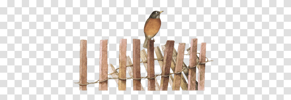 Clip Art Graphics Fence Post, Bird, Animal, Robin, Wood Transparent Png