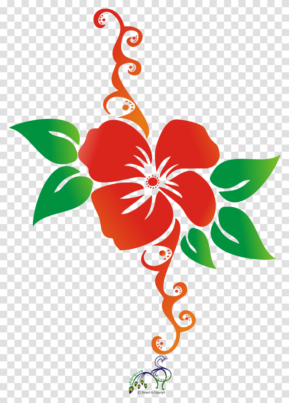 Clip Art, Hibiscus, Flower, Plant Transparent Png