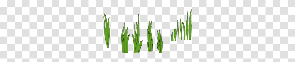 Clip Art Grass Cool Clip Art, Plant, Asparagus, Vegetable, Food Transparent Png