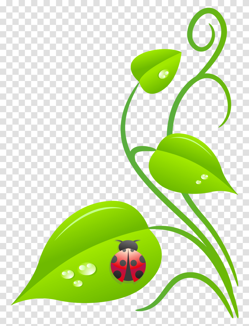 Clip Art, Green, Leaf, Plant Transparent Png