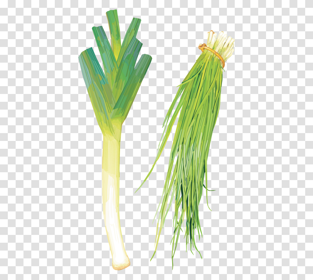 Clip Art Green Onion Flower Leek, Plant, Food, Produce, Vegetable Transparent Png