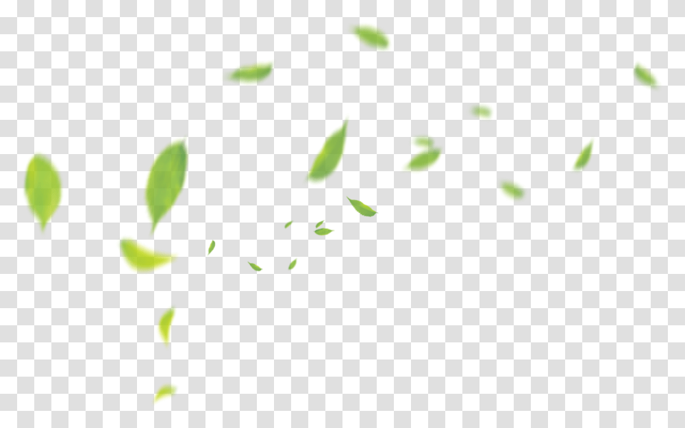Clip Art Green Pattern Transprent Tea Leaf Floating, Plant, Petal, Flower, Confetti Transparent Png