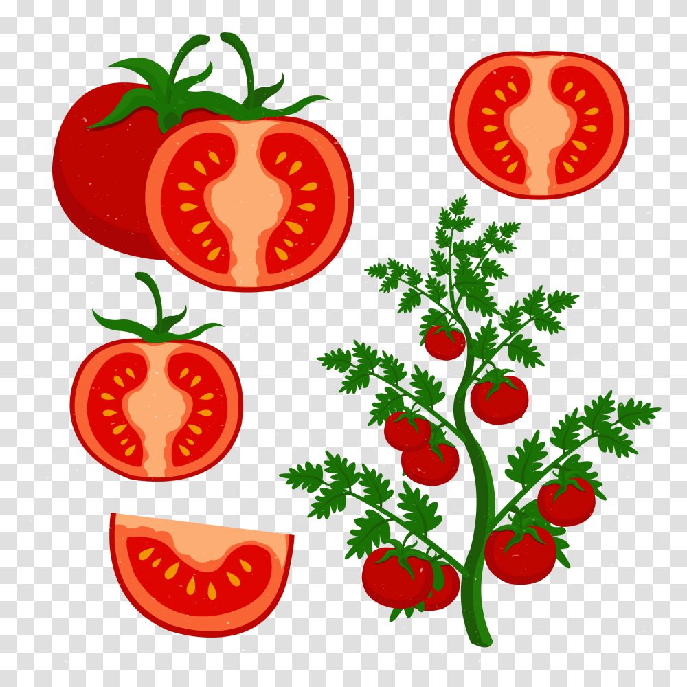Clip Art Grow Tomatoes Transprent, Poster, Advertisement Transparent Png