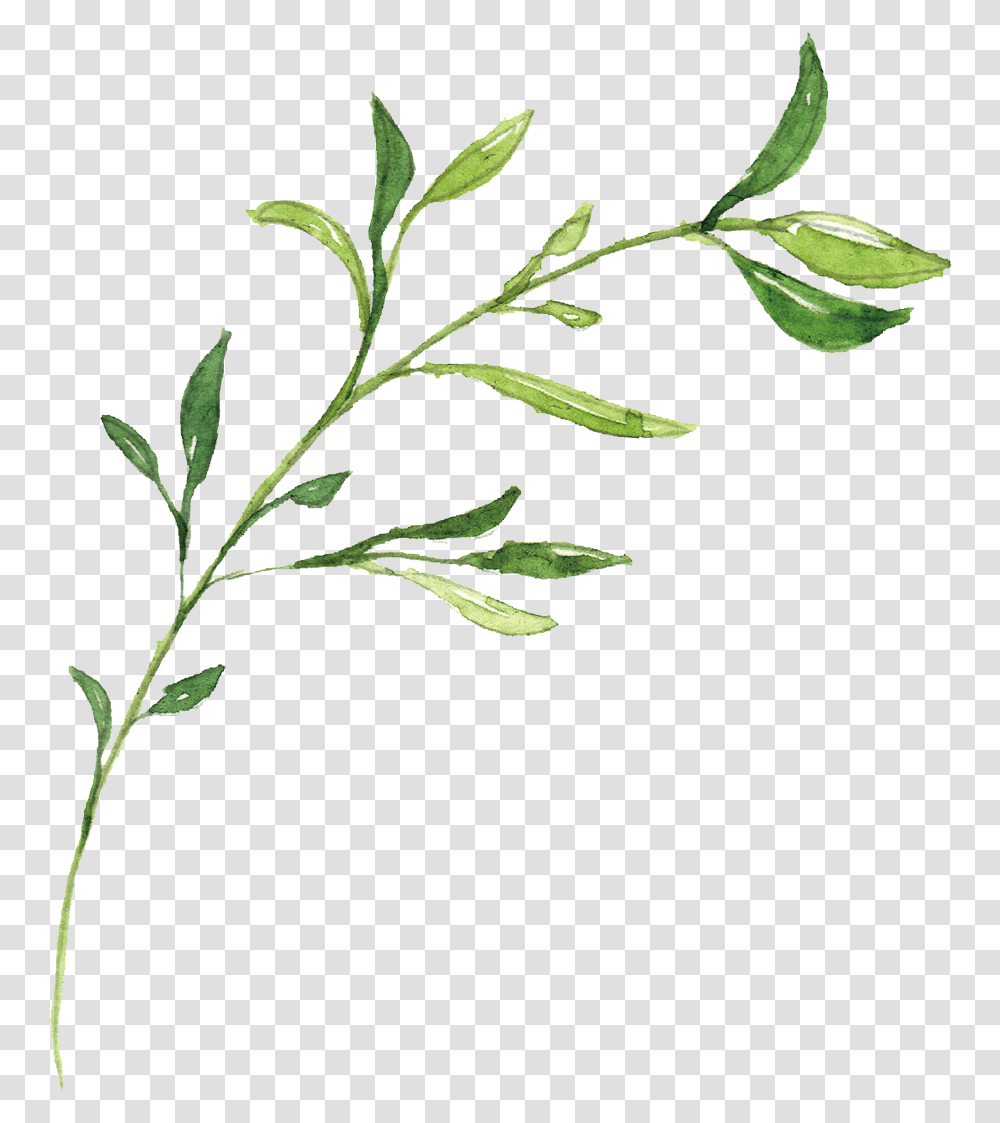 Clip Art Hand Drawn Leaves Hand Drawn Leaf, Plant, Flower, Vase, Jar Transparent Png
