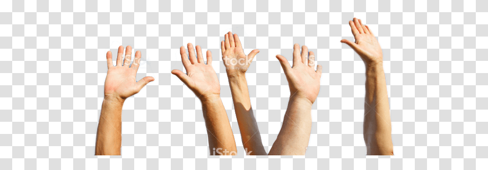 Clip Art Hands Reaching Up Hand Raise, Person, Human, Finger, Wrist Transparent Png