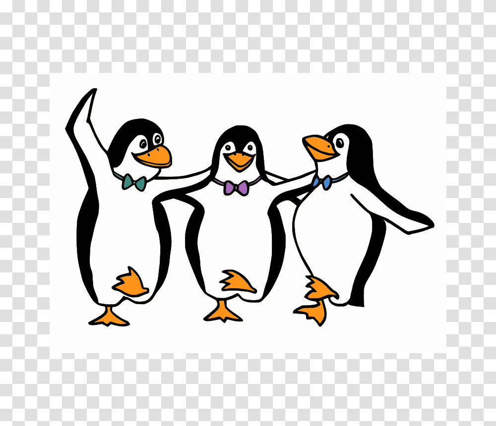 Clip Art Happy Dance, Penguin, Bird, Animal, King Penguin Transparent Png