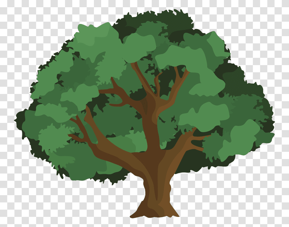 Clip Art Hd Tree Of Gondor Images Alan Lee Clipart Cartoon Tree On White Background, Plant, Oak, Sycamore, Tree Trunk Transparent Png