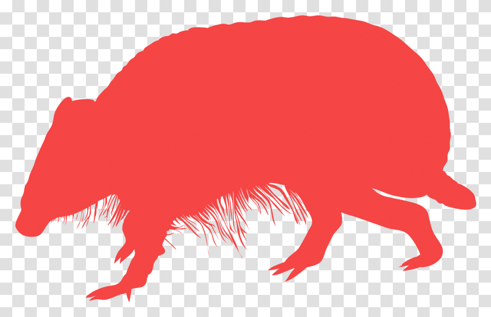 Clip Art, Hog, Pig, Mammal, Animal Transparent Png