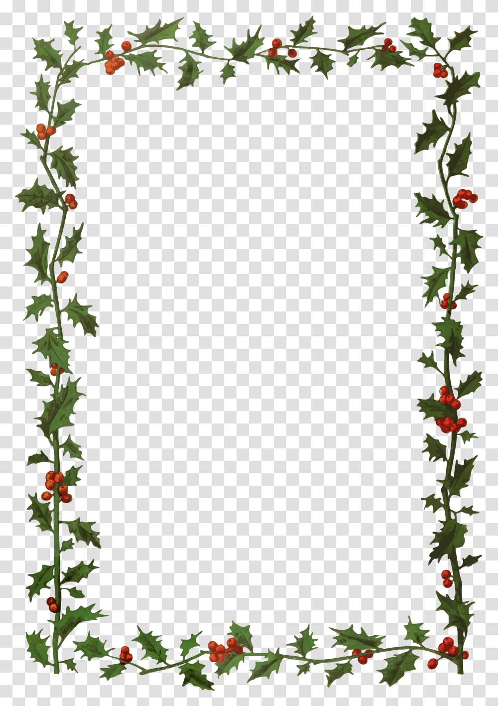 Clip Art Holly Frame, Plant, Flower, Blossom, Rose Transparent Png