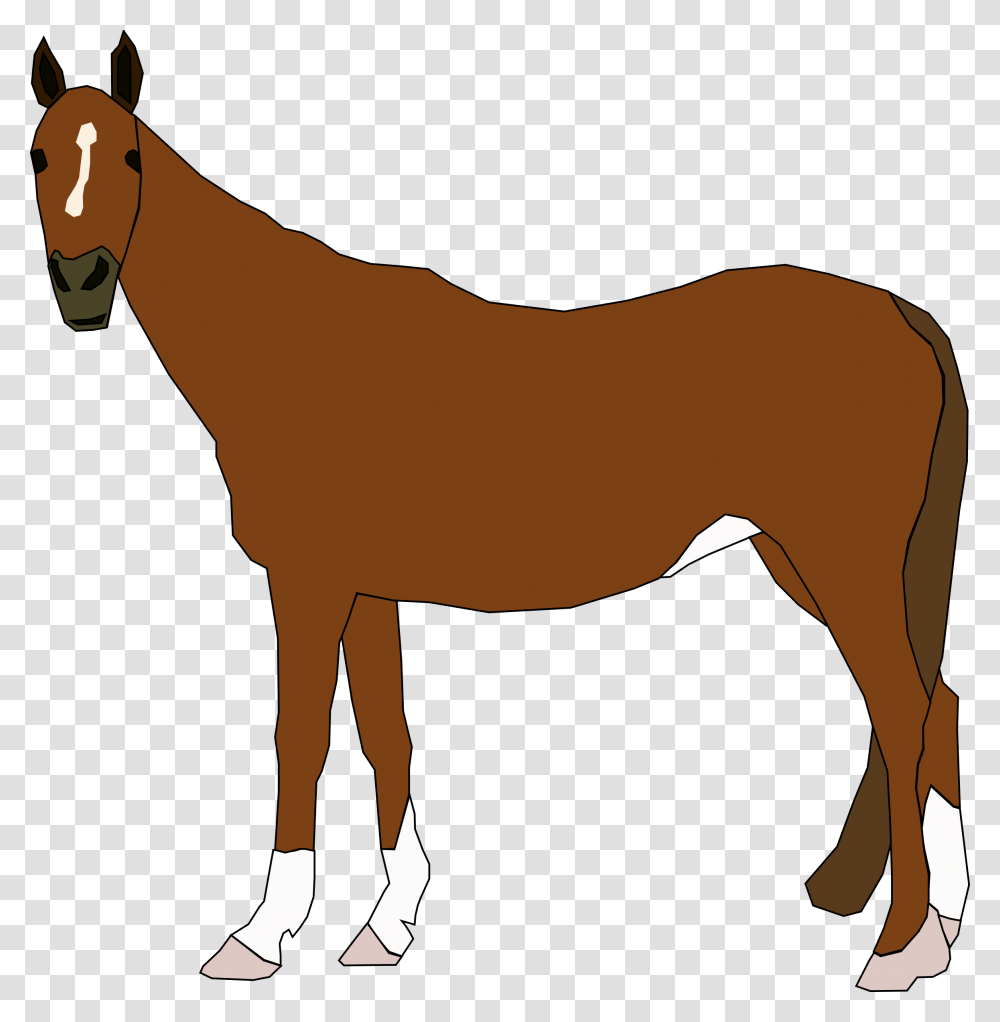 Clip Art Horses, Mammal, Animal, Colt Horse, Person Transparent Png