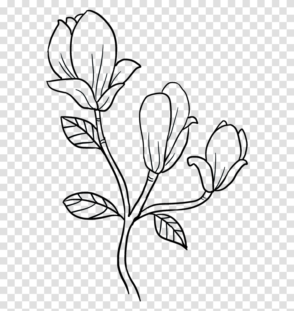 Clip Art How To Draw A Magnolia Flower Magnolia Flower Drawing Easy, Outdoors, Nature, Tree, Plant Transparent Png
