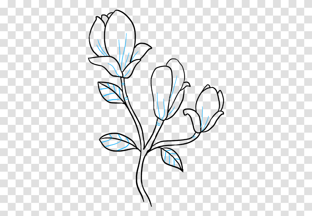 Clip Art How To Draw A Magnolia Flower Magnolia Flower Drawing Easy, Poster, Advertisement Transparent Png