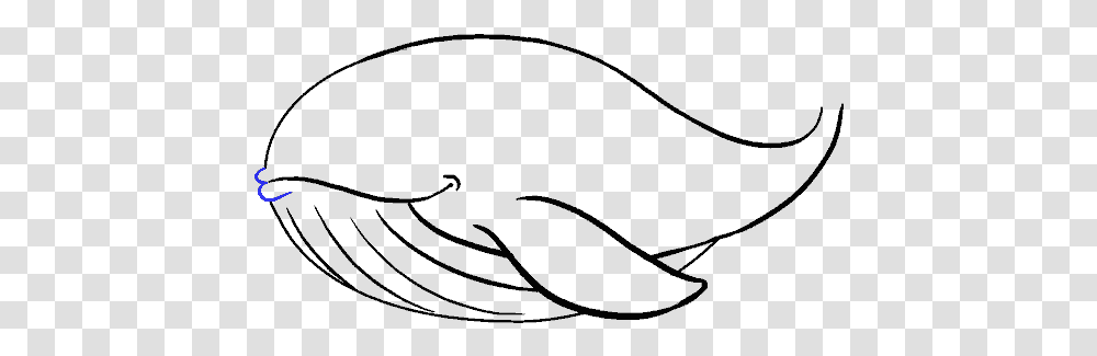 Clip Art How To Draw A Whale Drawing, Gray, World Of Warcraft Transparent Png