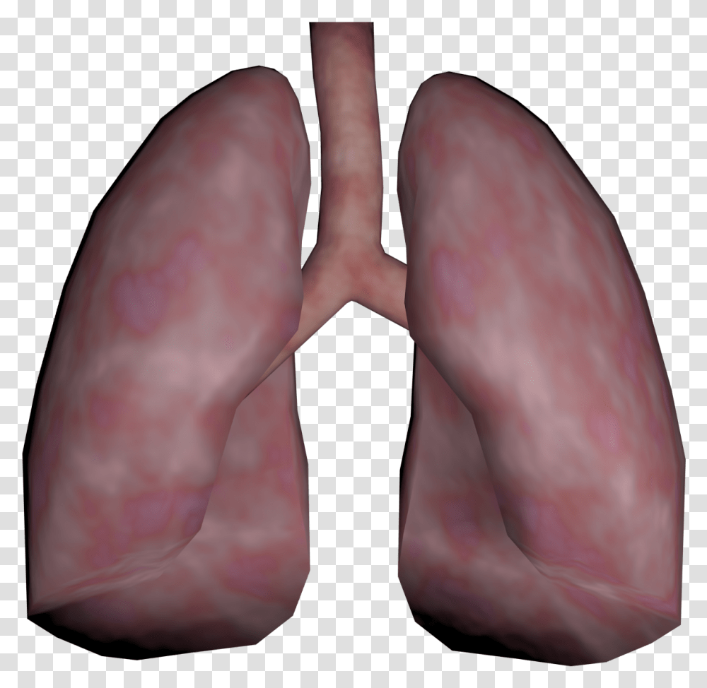 Clip Art Human Opengameart Org Lung Real Human Lung, Heel, Person, Finger, Toe Transparent Png