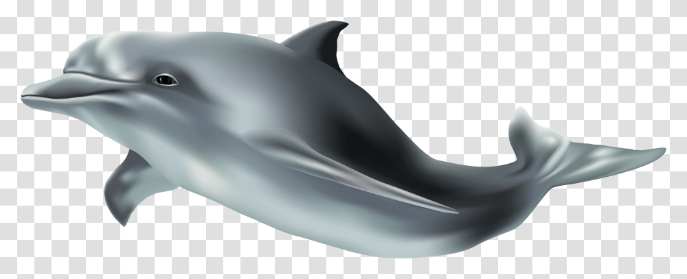 Clip Art Image Background Dolphin, Mammal, Sea Life, Animal, Shark Transparent Png