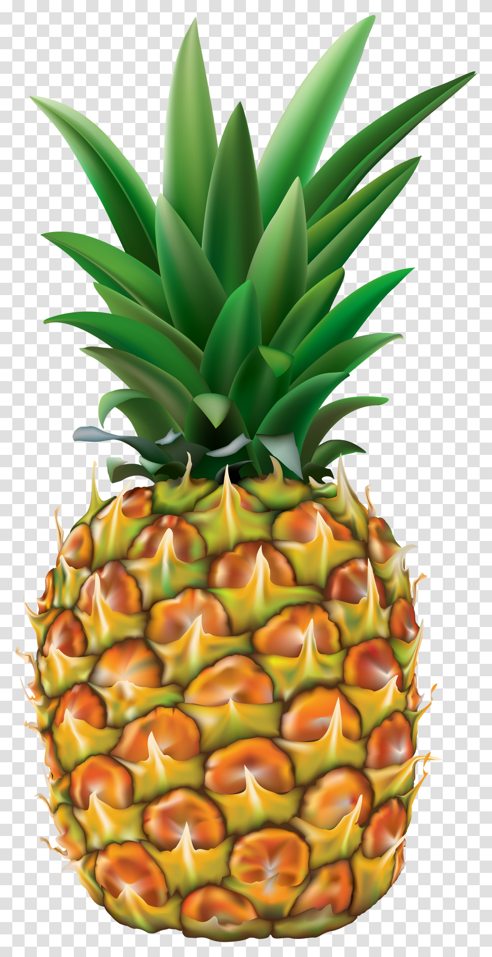 Clip Art Image Pineapple Clipart Transparent Png