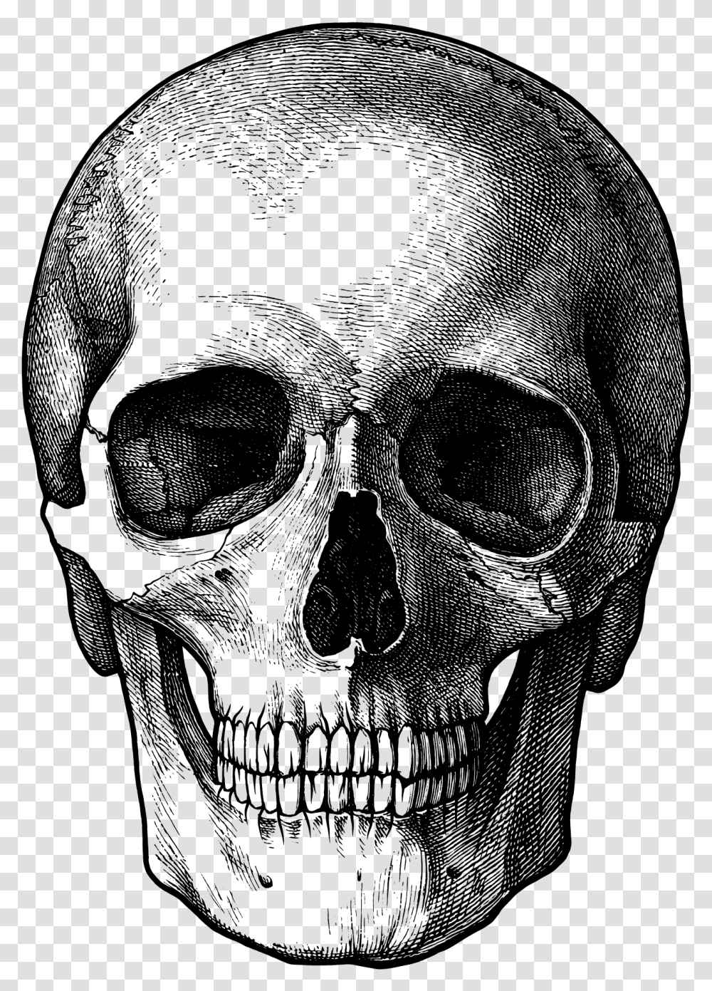 Clip Art Images Free Download Background Skull, Gray, World Of Warcraft Transparent Png