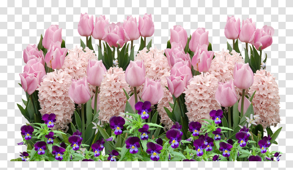 Clip Art Images Of Spring Easter Spring Flowers, Plant, Blossom, Geranium, Flower Arrangement Transparent Png