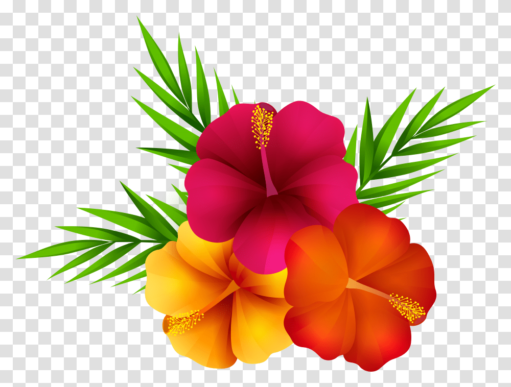 Clip Art Image Gallery Background Tropical Flower Clipart Transparent Png