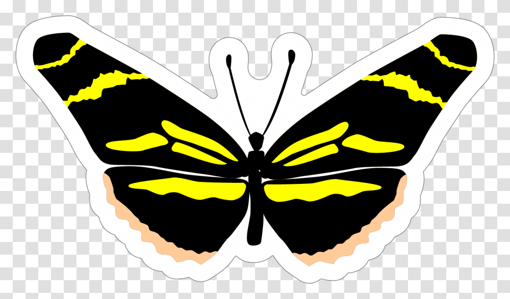 Clip Art, Insect, Invertebrate, Animal, Stencil Transparent Png