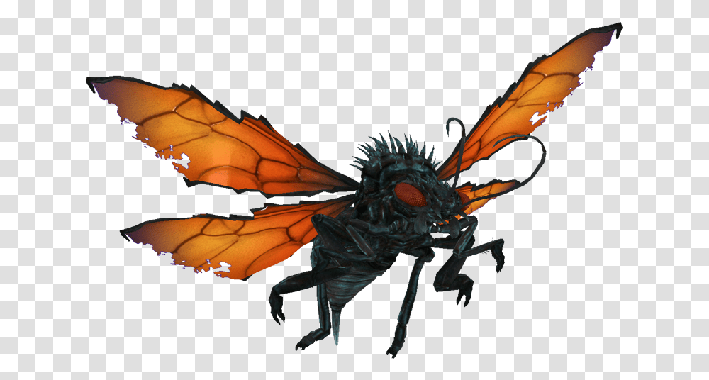 Clip Art Japan Killer Bees Fallout New Vegas Cazador, Dragon, Insect, Invertebrate, Animal Transparent Png