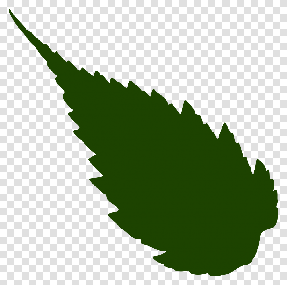 Clip Art Jungle Leaf Clip Art, Plant, Aloe, Swallow, Bird Transparent Png