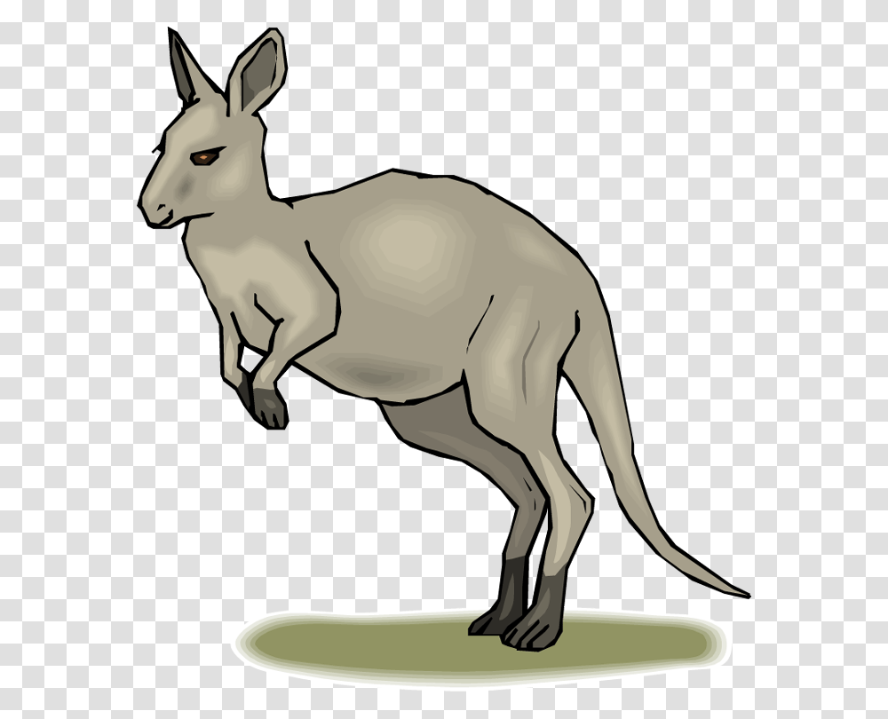 Clip Art Kangaroo, Mammal, Animal, Wallaby Transparent Png