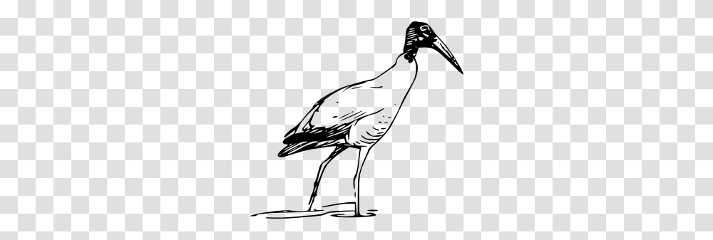 Clip Art Lake Clipart Image, Stork, Bird, Animal, Bow Transparent Png