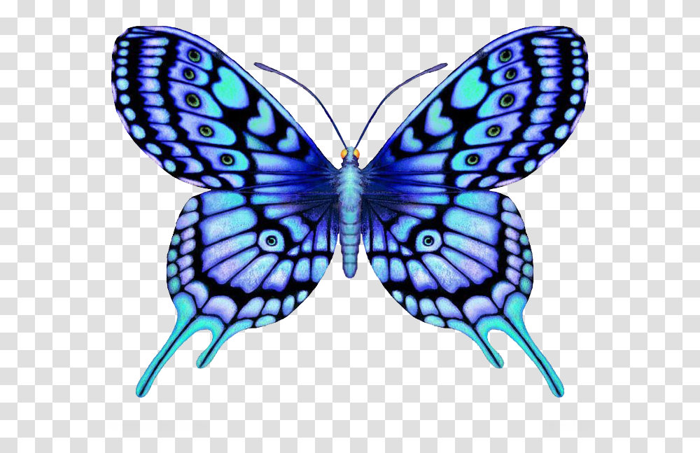 Clip Art Large Color Supernatural Symmetrical Design Of Butterfly, Ornament, Pattern, Fractal, Animal Transparent Png