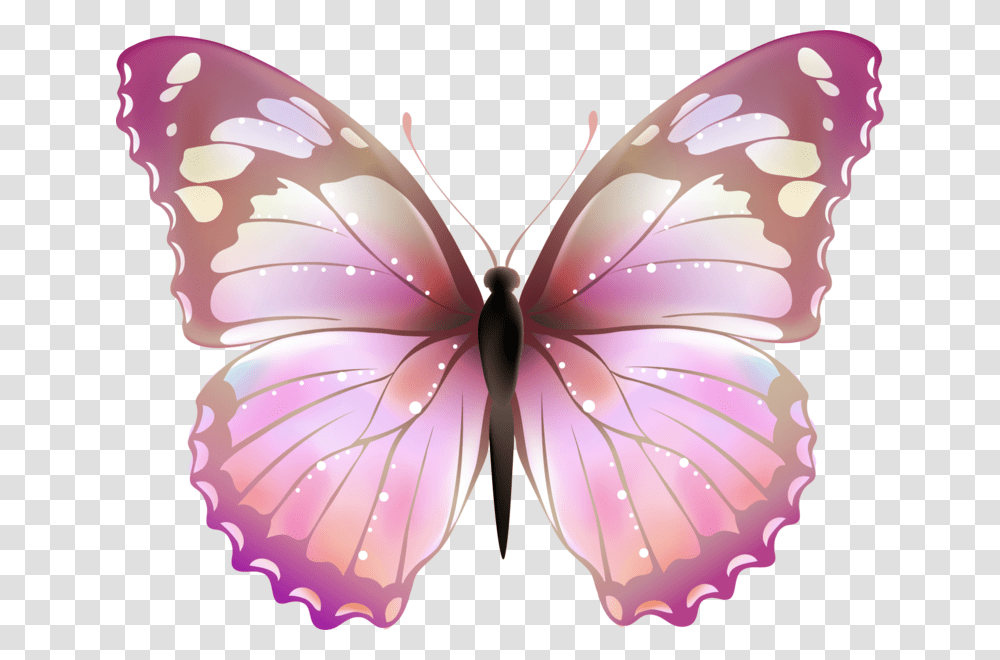 Clip Art Lavender Butterfly, Invertebrate, Animal, Purple, Insect Transparent Png