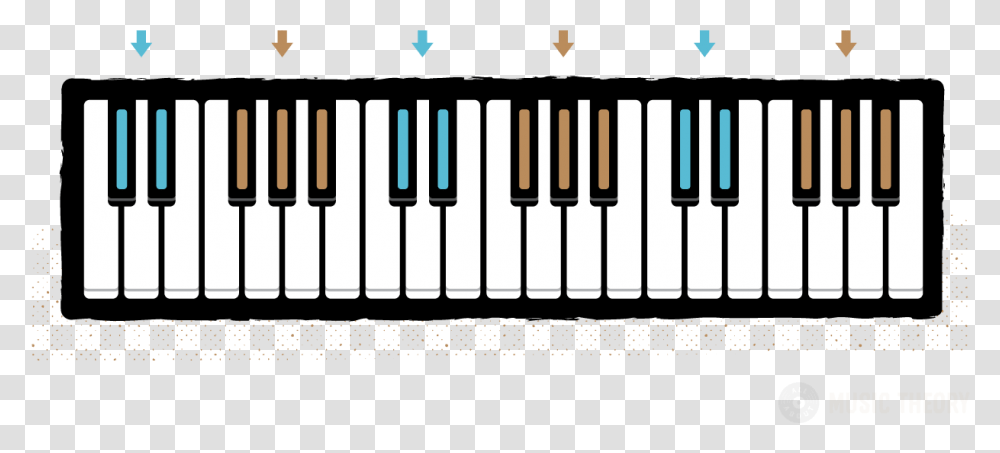 Clip Art Layout Of The Keyboard Diagram Of Octave Piano, Electronics, Leisure Activities, Musical Instrument, Airliner Transparent Png